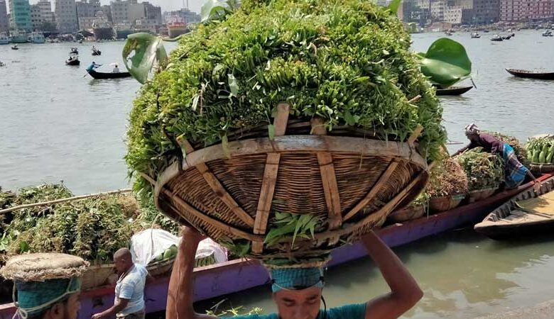 রাজধানীর শ্যামবাজার ঘিরে বোরহানের দখল বাণিজ্য