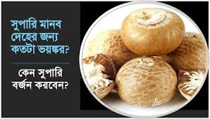 সুপারি মানব দেহের জন্য কতটা ভয়ঙ্কর? কেন সুপারি বর্জন করবেন?